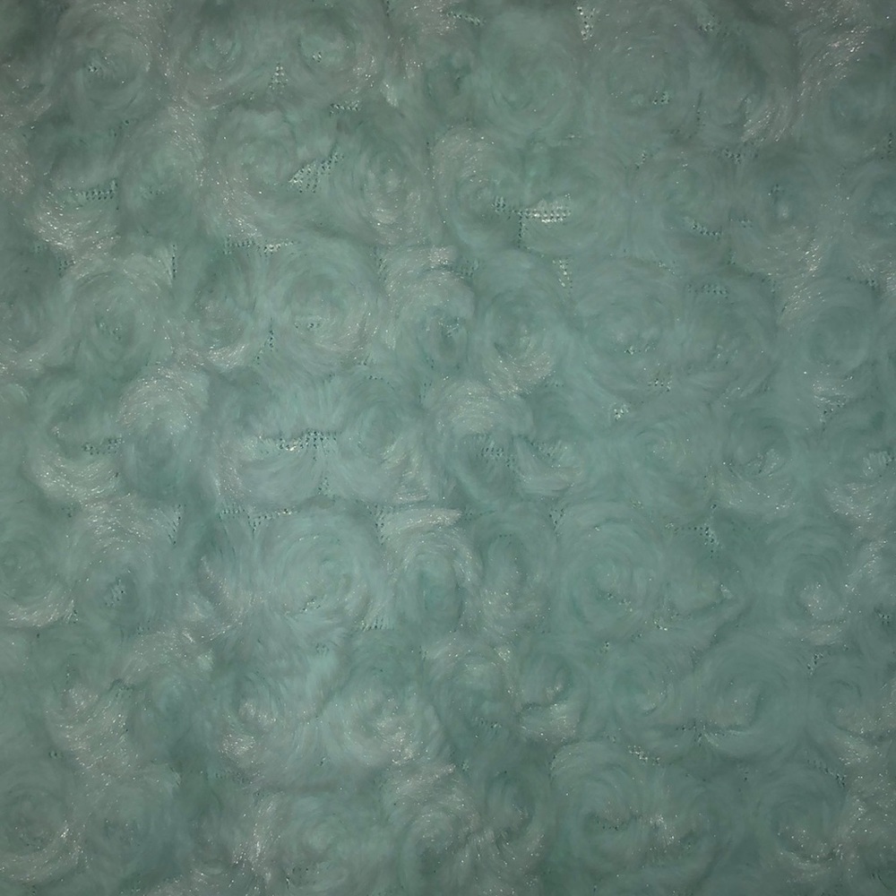 DONATING SOON!!! Brand new mint soft rose design top (COPY) - Picture 3 of 3